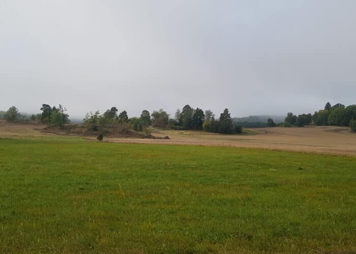 tillgänglighetsvandring