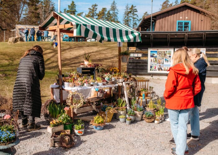 En grupp människor som står runt ett bord fyllt med växter.