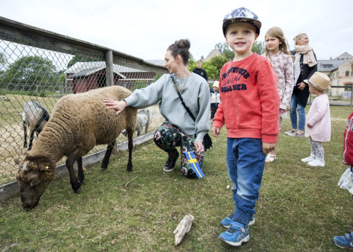 Klapphage med glad kvinna och barn som klappar ett ljusbrunt får i en hage